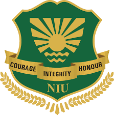 Noida International University